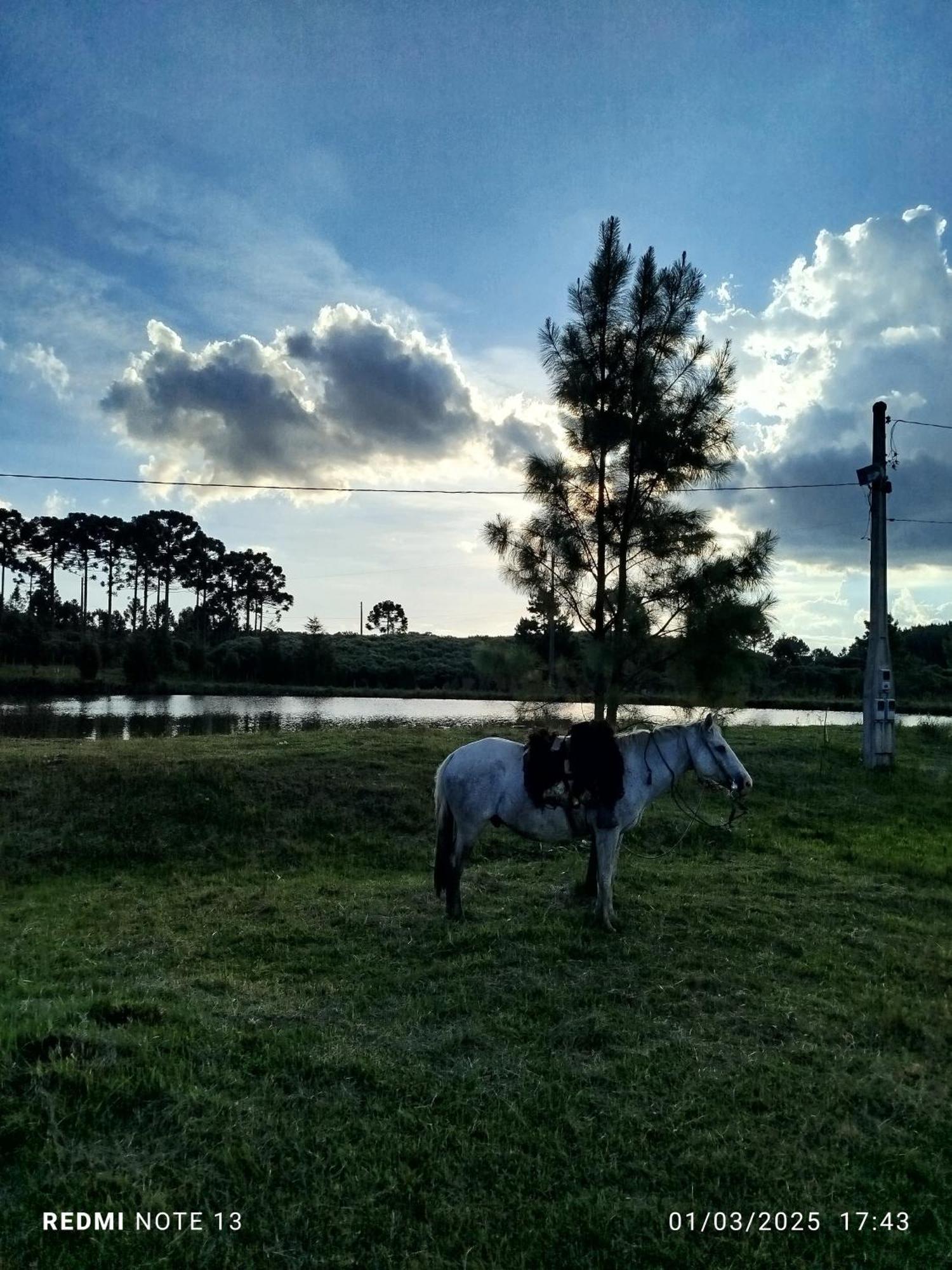 Encanto Das Araucarias Cambará Esterno foto