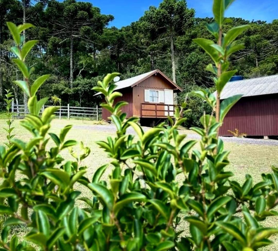 Encanto Das Araucarias Cambará Esterno foto